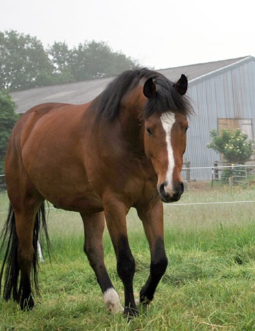 [DSC_0069%255B4%255D.jpg]