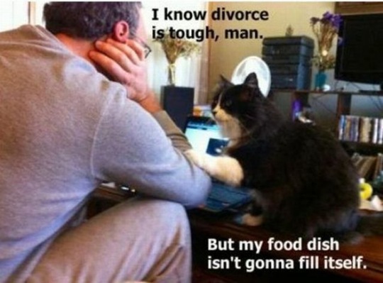 [viral-picdump-pics-54212c%255B2%255D.jpg]