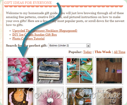 tip junkie diaper feature 11.11