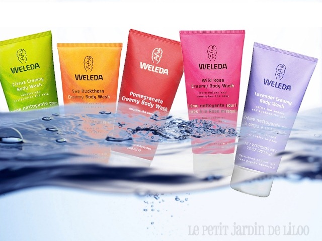 [001-weleda-mini-shower-gel-gift-pack-2012-edition%255B4%255D.jpg]