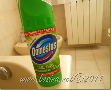domestos1