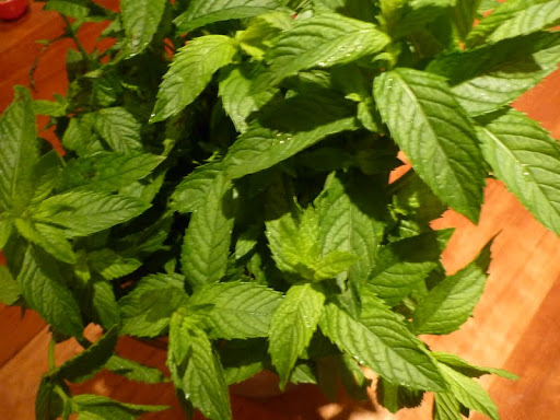 A beautiful bunch of mint.