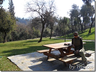 SAM_3567