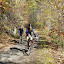 DSCF9357.JPG