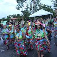  Carnaval_Cantanhede_Bloco_Cana_Limao_2012