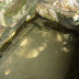 P1120420