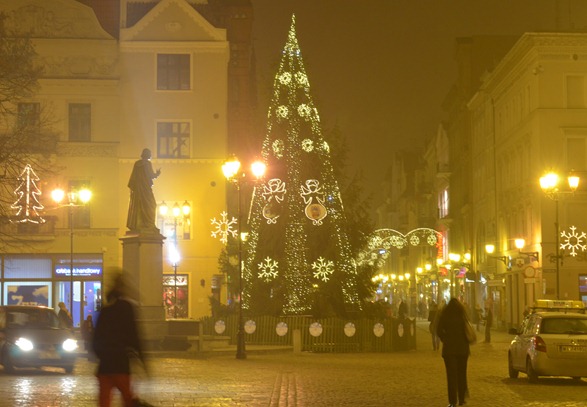 DSC_1262 DSC_1262