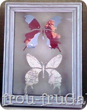 Map Butterfly Specimens