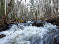 P1040104.JPG