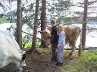 Viktor och Ida och kor!