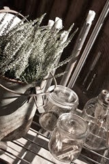 IMG_7579 IMG_7579