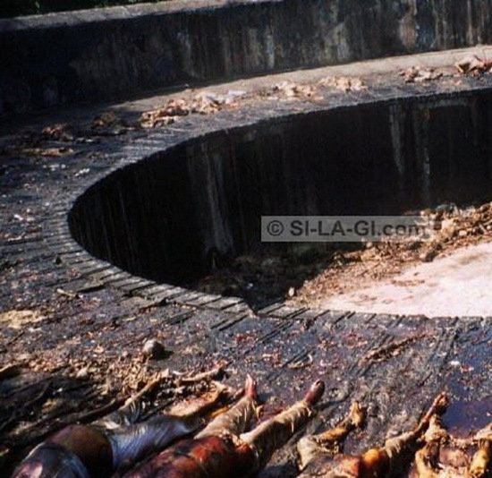 Mummification body in Tower of Silence 04