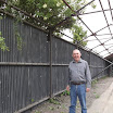 Wine Shed going 8.jpg