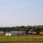 IMG_7004.JPG