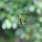 IMG_0069.JPG
