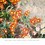 GAUCHOInLOG