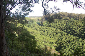 DSC_0779.JPG