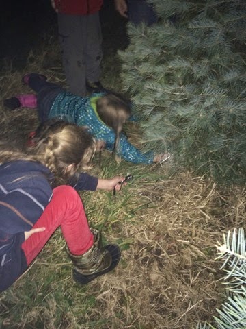 [IMG_1033%255B2%255D.jpg]