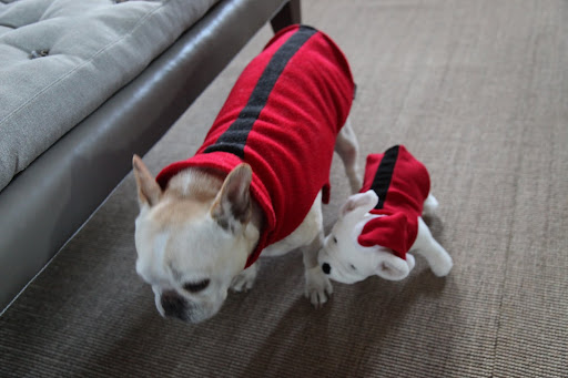 Come on, little one.  You can follow me around and I'll show you the ropes.