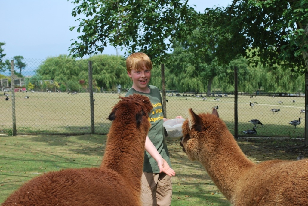 [DSC_0266%255B4%255D.jpg]