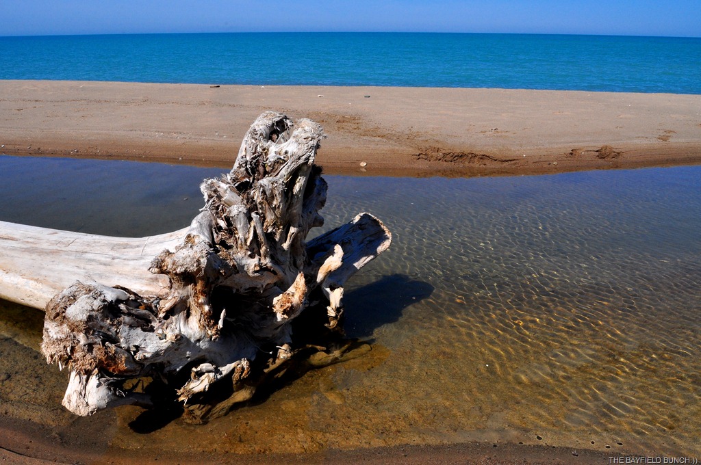 [DSC_0007%255B4%255D.jpg]