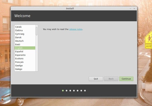 Linux Mint 15 install 1