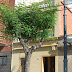 Casa Carrer Verdaguer