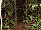 STP60576.JPG