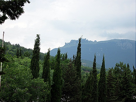 IMG_5116 IMG_5116