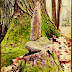 DSCN3655.JPG
