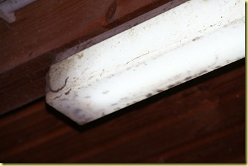 IMG_2133 IMG_2133