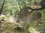 DSCF3633.jpg
