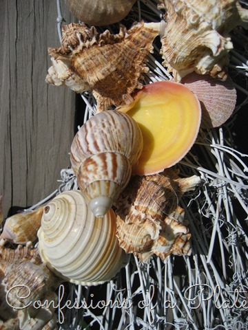 [CONFESSIONS%2520OF%2520A%2520PLATE%2520ADDICT%2520Pier%25201%2520Inspired%2520Seashell%2520Wreath4%255B7%255D.jpg]