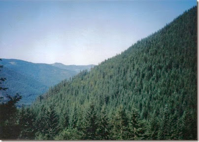 View of Martin Creek from the Iron Goat Trail in 1998