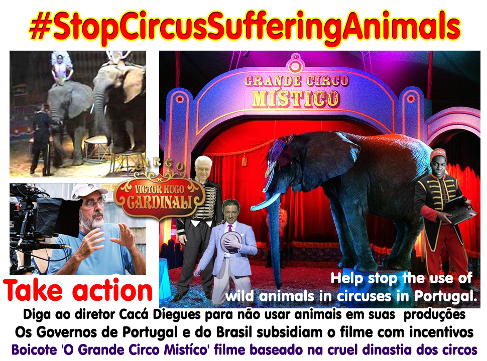 [3caca%255B3%255D.png]