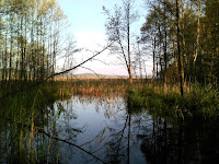 DSC00821.JPG Photo