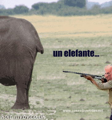 elefante juan carlos