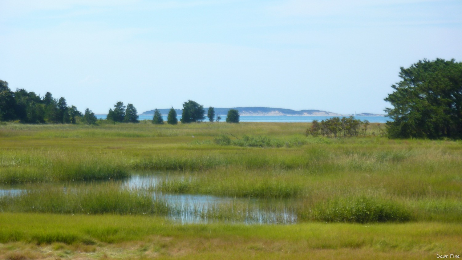 [Wellfleet-Audubon_0043.jpg]