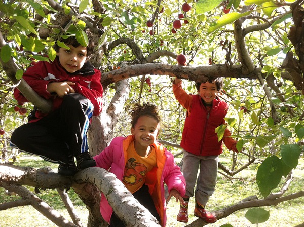 [3-in-a-tree%255B12%255D.jpg]