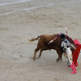 Bullfighting in Madrid