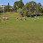 DSC_0656.JPG