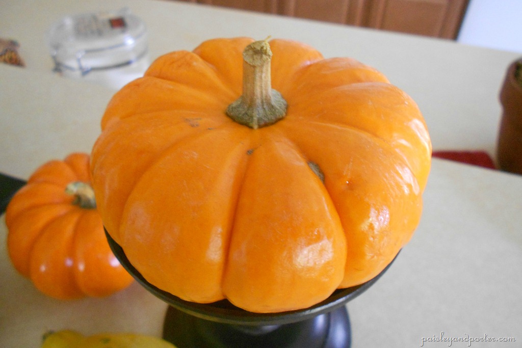 [DSCN2705-1%255B2%255D.jpg]