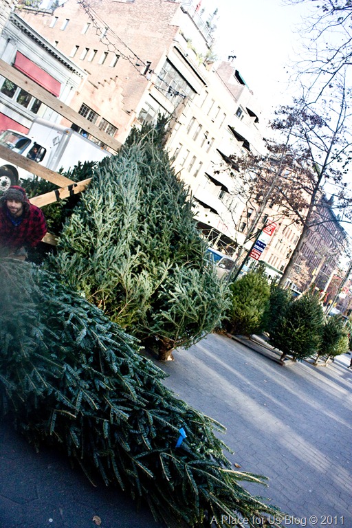 [IMG_0722_27675.jpg]