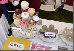 derbycountyfair28
