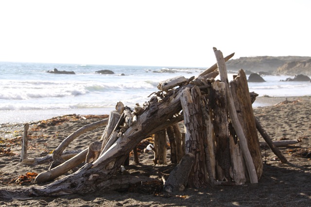 [driftwoodsculpture2%255B3%255D.jpg]