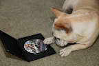 You did it Francesca, but it's not a book at all!  It's a DVD!!  We love watching movies!