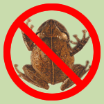 [no_frog3.gif]