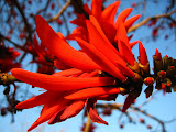 South Africa - 006.JPG