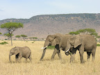 DSCN5807.JPG