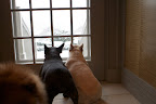 We're thankful for the warmth of our home and the great adventures awaiting us outdoors.